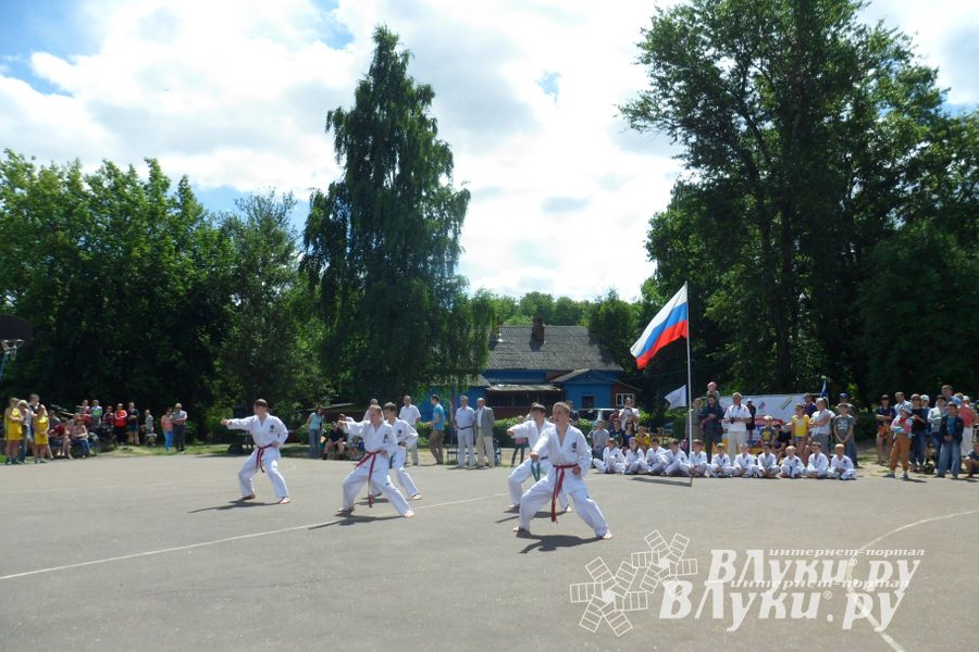 В Великих Луках прошел Всероссийский олимпийский день (фото)