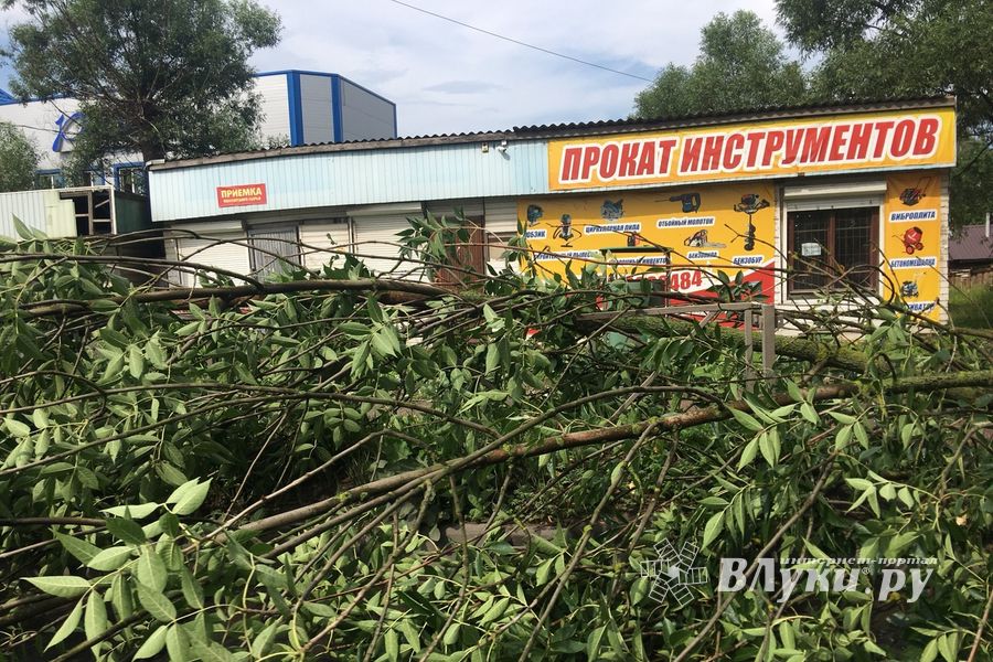 Гроза в Великих Луках не прошла бесследно (ФОТО)
