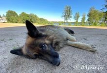 Аномально жаркого лета в нынешнем году не будет