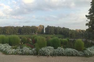 В центральном парке Великих Лук продолжаются ремонтные работы (фото)