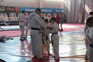 Сергей Фомин провёл мастер-классс для великолукских дзюдоистов (ФОТО)