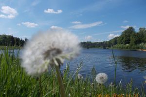 «Красота нашей Ловати»/ Яков Дроздов