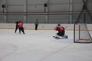 Памятный турнир по хоккею прошел в великолукском «Айсберге» (ФОТО)