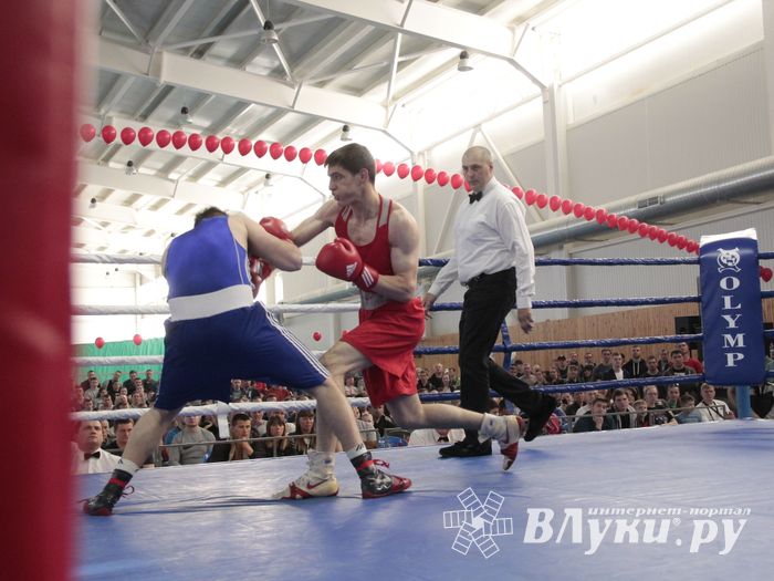 Матчевая встреча по боксу Великие Луки —Псков — Грозный (ФОТО)