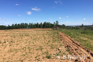 Фото предоставлено комитетом по молодежной политике и спорту г. Великие Луки