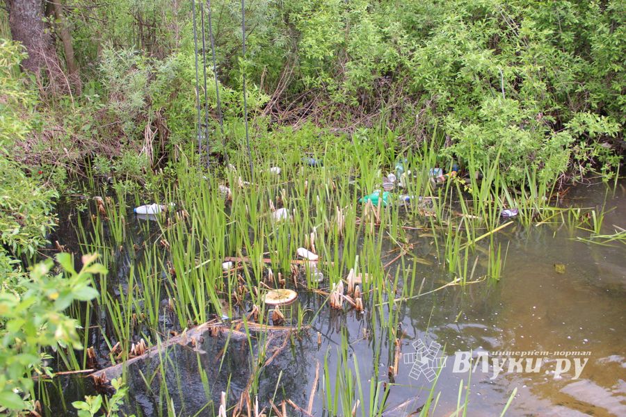 «Партия Дела» делает дело