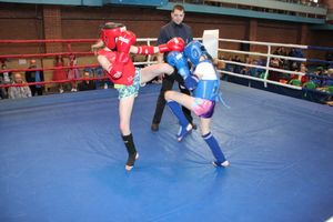 I Открытый кубок Псковской области по тайскому боксу прошел в Великих Луках (ФОТО)