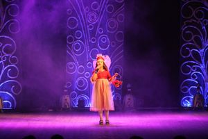 В Великих Луках состоялась презентация творческого объединения мастеров декоративно-прикладного искусства «Калейдоскоп» (фото)