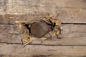 Великолучанин обнаружил боеприпас к авиационной пушке (ФОТО)