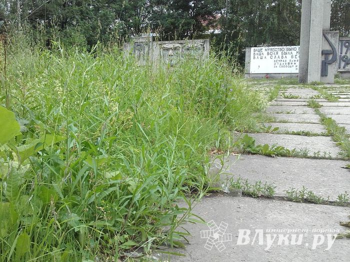 В Великих Луках не потрудились скосить траву возле мемориала (ФОТО)