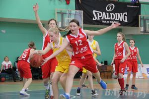 Чемпионат ШБЛ «КЭС-БАСКЕТ» сезона 2013-2014 гг.  Псковской области