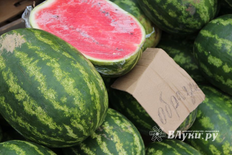 В Великих Луках проверили бахчевые (ФОТО)