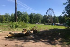 Очередной этап реконструкции парка в Великих Луках (ФОТО)