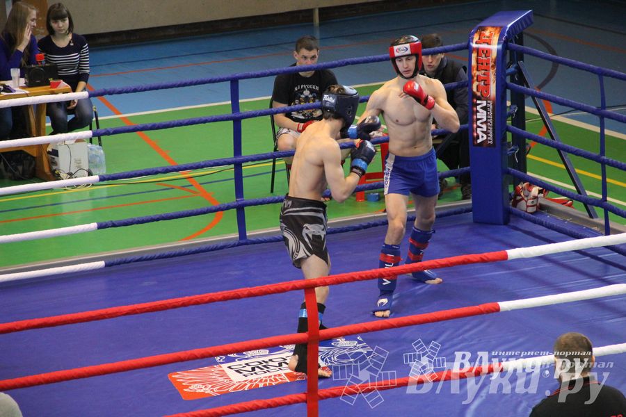 В Великих Луках прошел межрегиональный Открытый Кубок по смешанному боевому единоборству (фото)