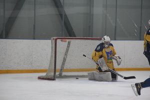 «Экспресс» с разгромным счетом обыграл «Родину» (ФОТО)