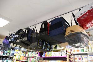 «Zooбастики»: подарите праздник своим любимцам! (ФОТО+ВИДЕО)