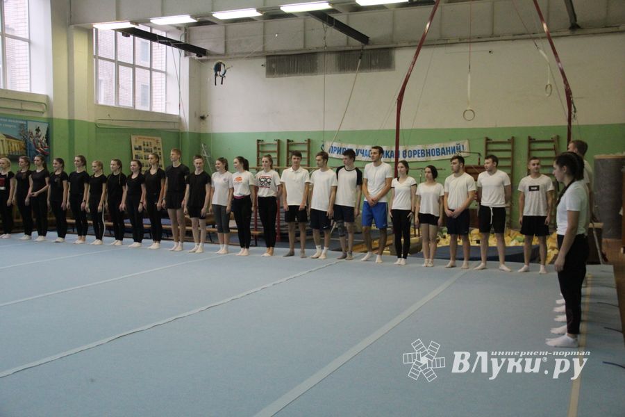 В Великих Луках проходят соревнования по гимнастике (ФОТО)