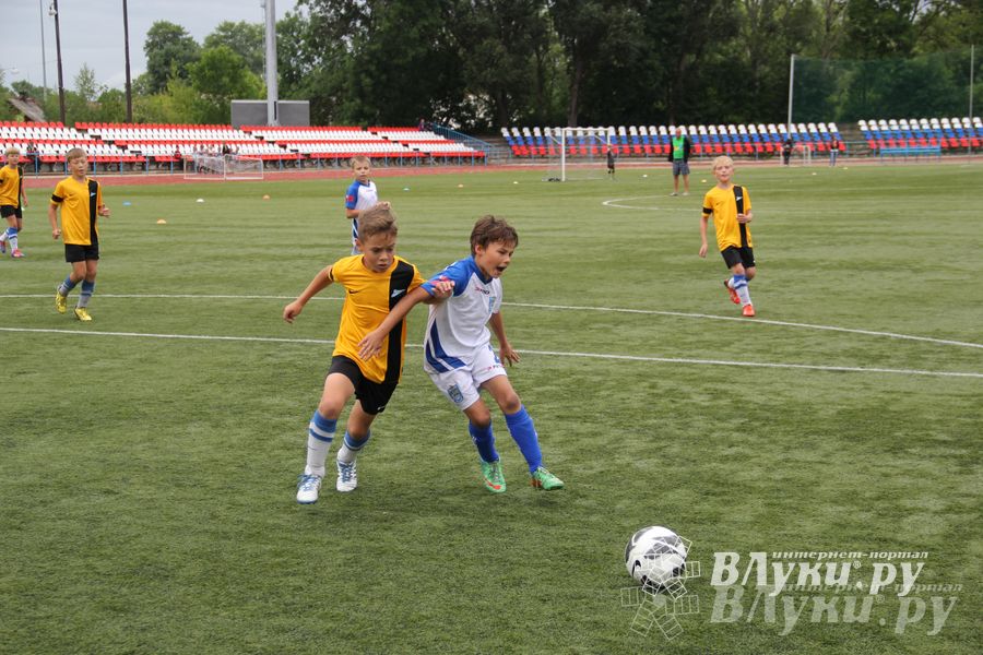 В Великих Луках состоялся Всероссийский турнир «Загрузи себя футболом» (фото)