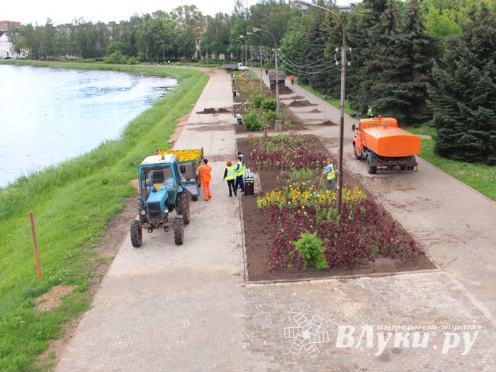 В Великих Луках сажают, стригут и красят (ФОТО)