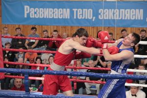 Матчевая встреча по боксу Великие Луки —Псков — Грозный (ФОТО)