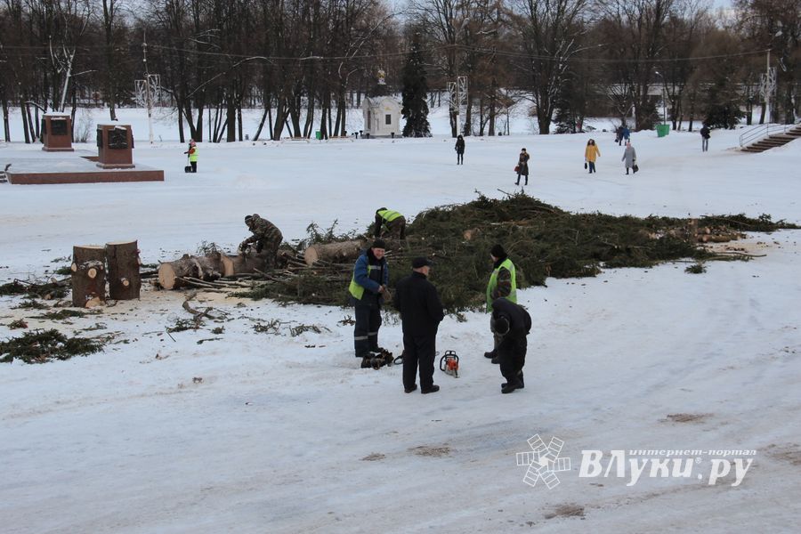 Главная городская ёлка отправилась на свалку (ФОТО)
