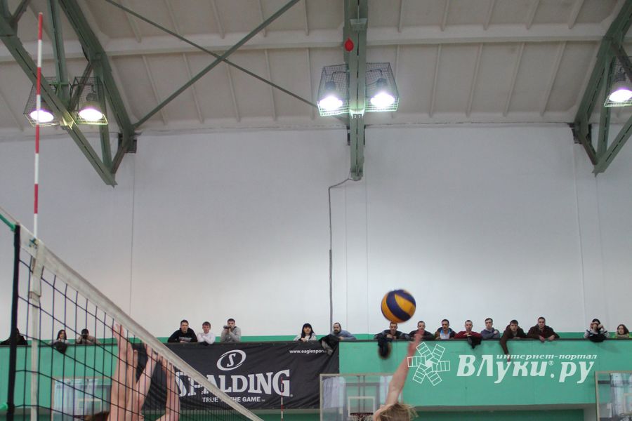 В Великих Луках прошли международные соревнования по волейболу (фото)