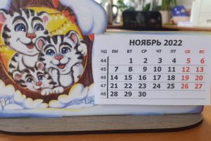 © ВЛуки.ру