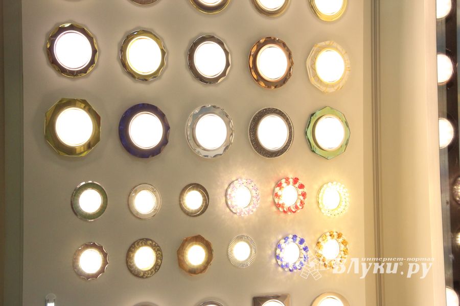 Шестая великолукская универсальная выставка открылась в Великих Луках (фото + видео)