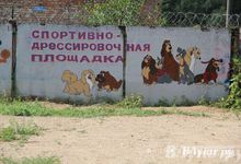 День открытых дверей на спортивно-дрессировочной площадке в Великих Луках (фото)