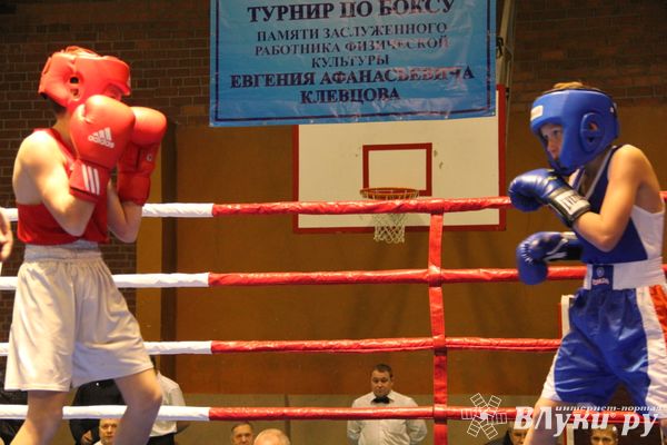 В Великих Луках проходят соревнования по боксу памяти Е.А. Клевцова (фоторепортаж)
