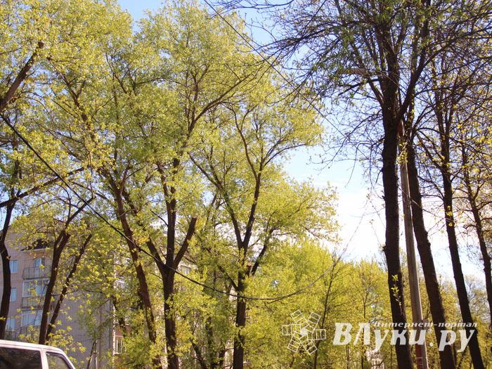 Авария устранена, движение по проспекту Гагарина возобновлено (ФОТО)