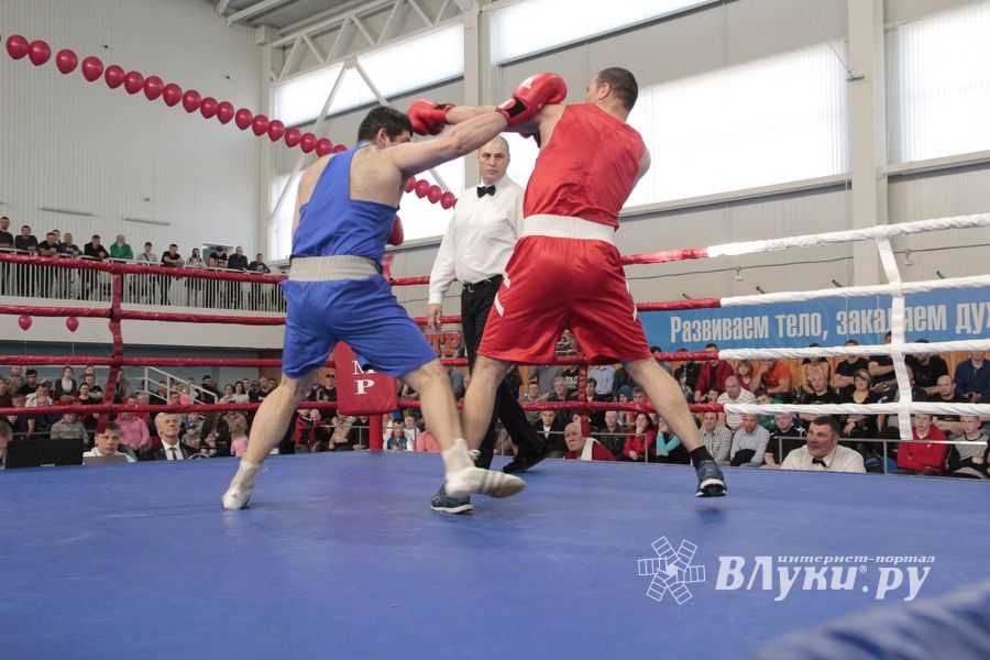 Матчевая встреча по боксу Великие Луки —Псков — Грозный (ФОТО)