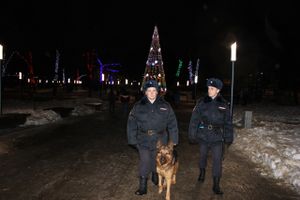 В Псковской области праздничные мероприятия проходят без нарушений общественного порядка (фото)