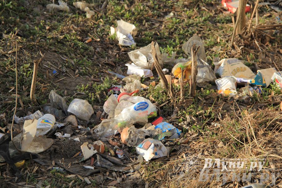 Город в ожидании субботника