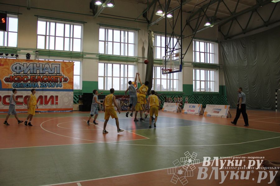 Чемпионат ШБЛ «КЭС-БАСКЕТ» сезона 2013-2014 гг. Псковской области