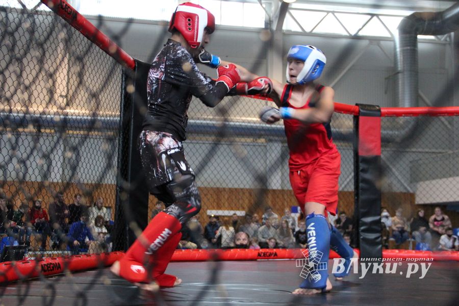 В Великих Луках прошел кубок по смешанному боевому единоборству (ФОТО)