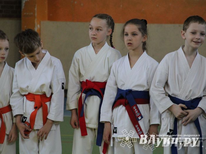 Великолучане стали победителями турнира по каратэ «Неприкосновенный запас, дети — Отчизны 2015» (фото)