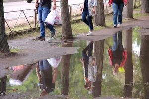 Мечта великолучан: по городу в чистой обуви (ФОТО)