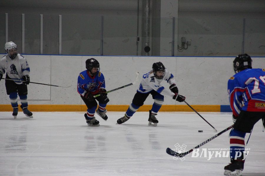 В Великих Луках прошел детский Открытый турнир по хоккею (ФОТО)