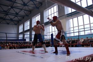 Открытый Кубок города Великие Луки по смешанному боевому единоборству (ММА)