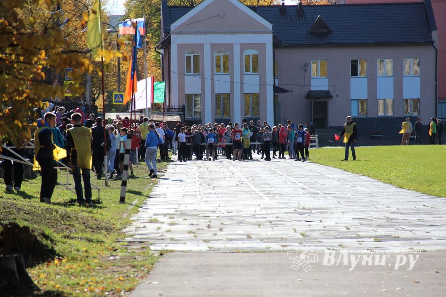 «Шиповка юных» среди великолукских школьников (фото)