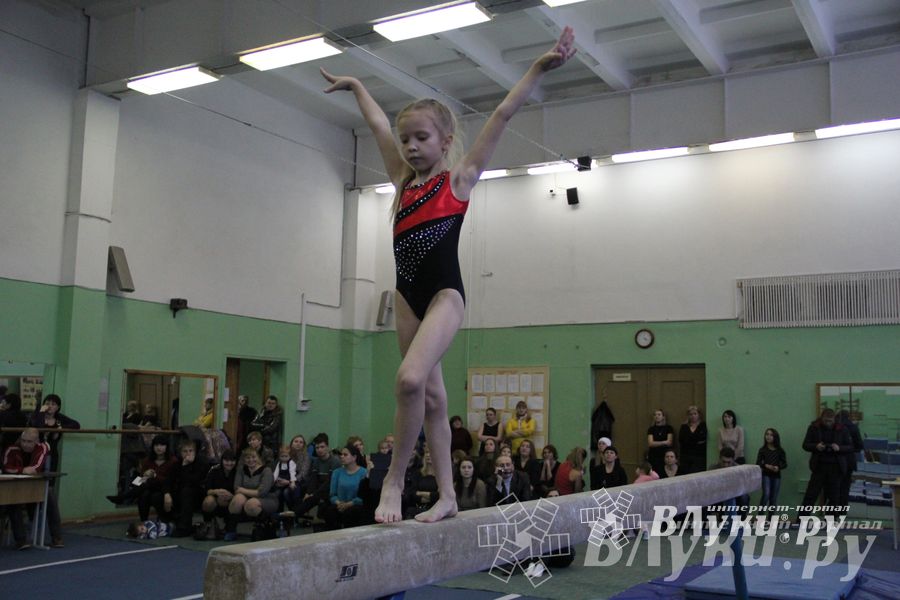 В Великих Луках прошло Первенство Области по спортивной гимнастики (фото)