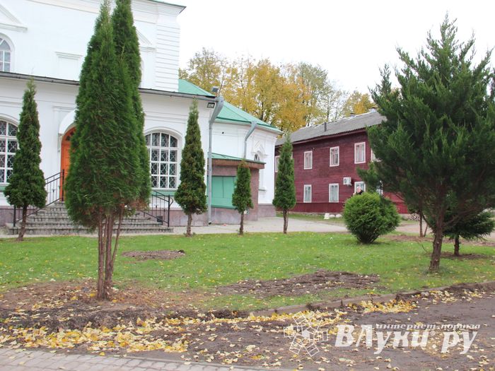 Куда исчезли пихты у Свято-Вознесенского собора в Великих Луках