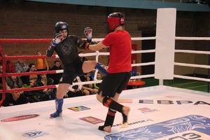 В Великих Луках прошел международный открытый Кубок по смешанному боевому единоборству (ФОТО) (16+)