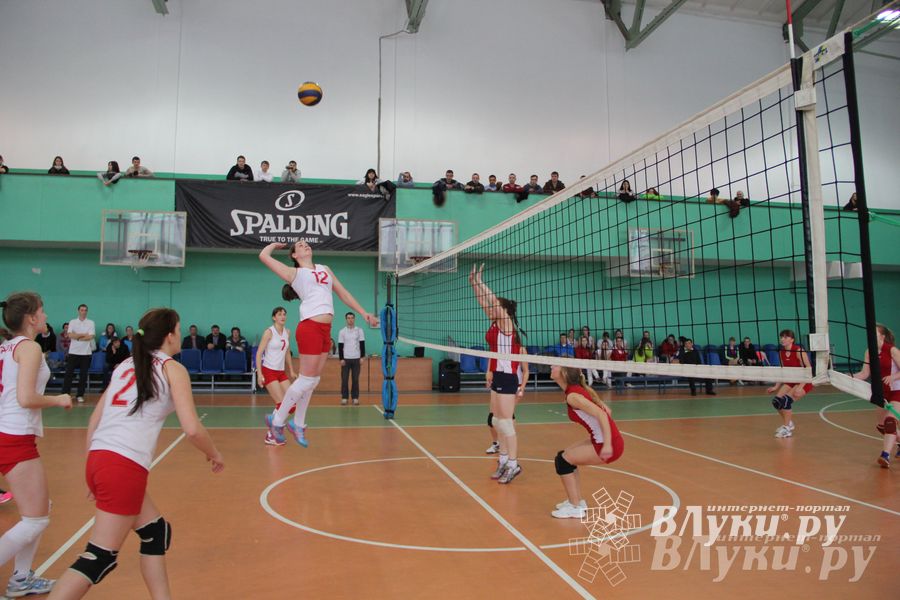 В Великих Луках прошли международные соревнования по волейболу (фото)