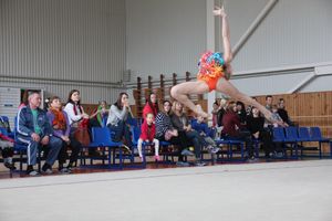 В Великих Луках прошли соревнования по по художественной гимнастике (ФОТО)