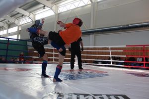 В Великих Луках проходит открытый кубок по смешанному боевому единоборству ММА (ФОТО) (12+)