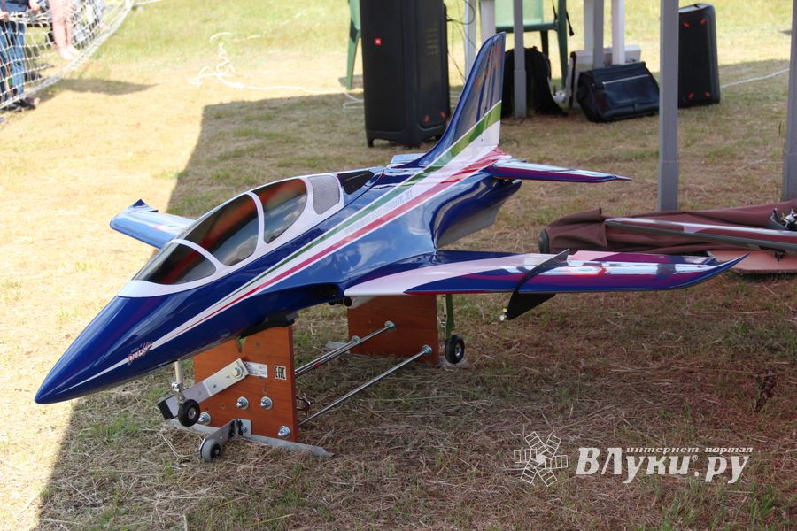 Фестиваль авиамодельного спорта России прошел в Великих Луках (ФОТО)