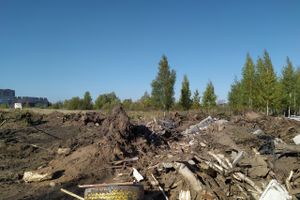 Будет ли здесь «город-сад» (ФОТО)