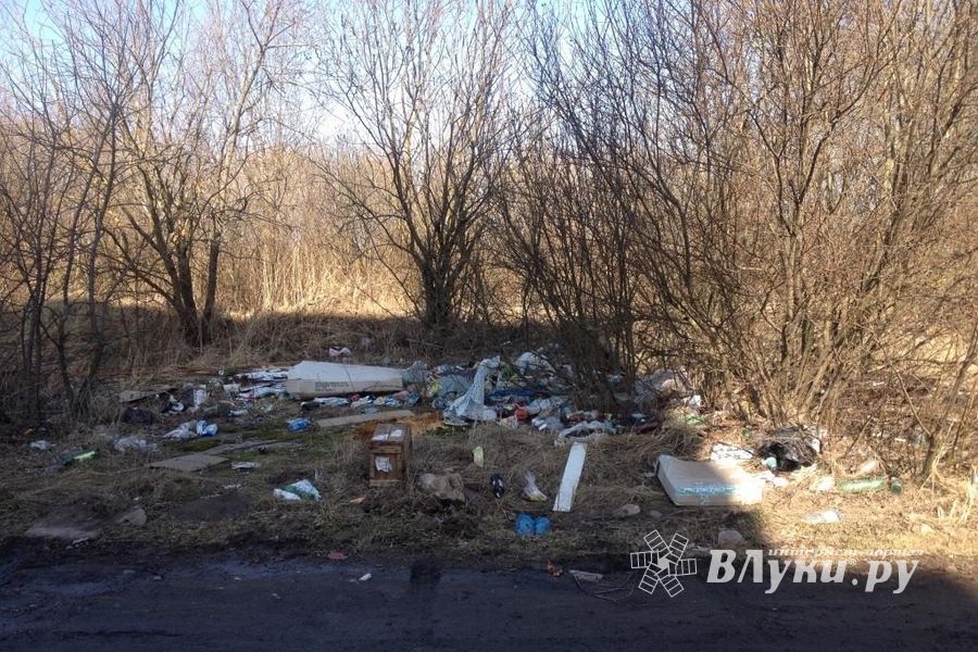 «Великие Луки — большая свалка» (ФОТО)